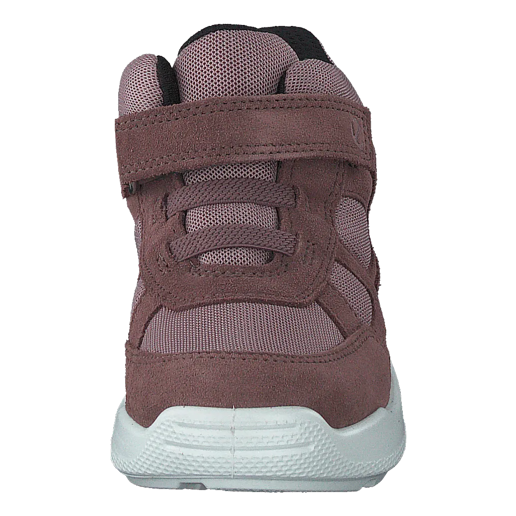 Ecco Urban Mini Dusty Purple/woodrose