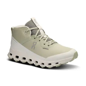 Waterproof Mens Cloudroam Shoes in Chalk/Ice Color