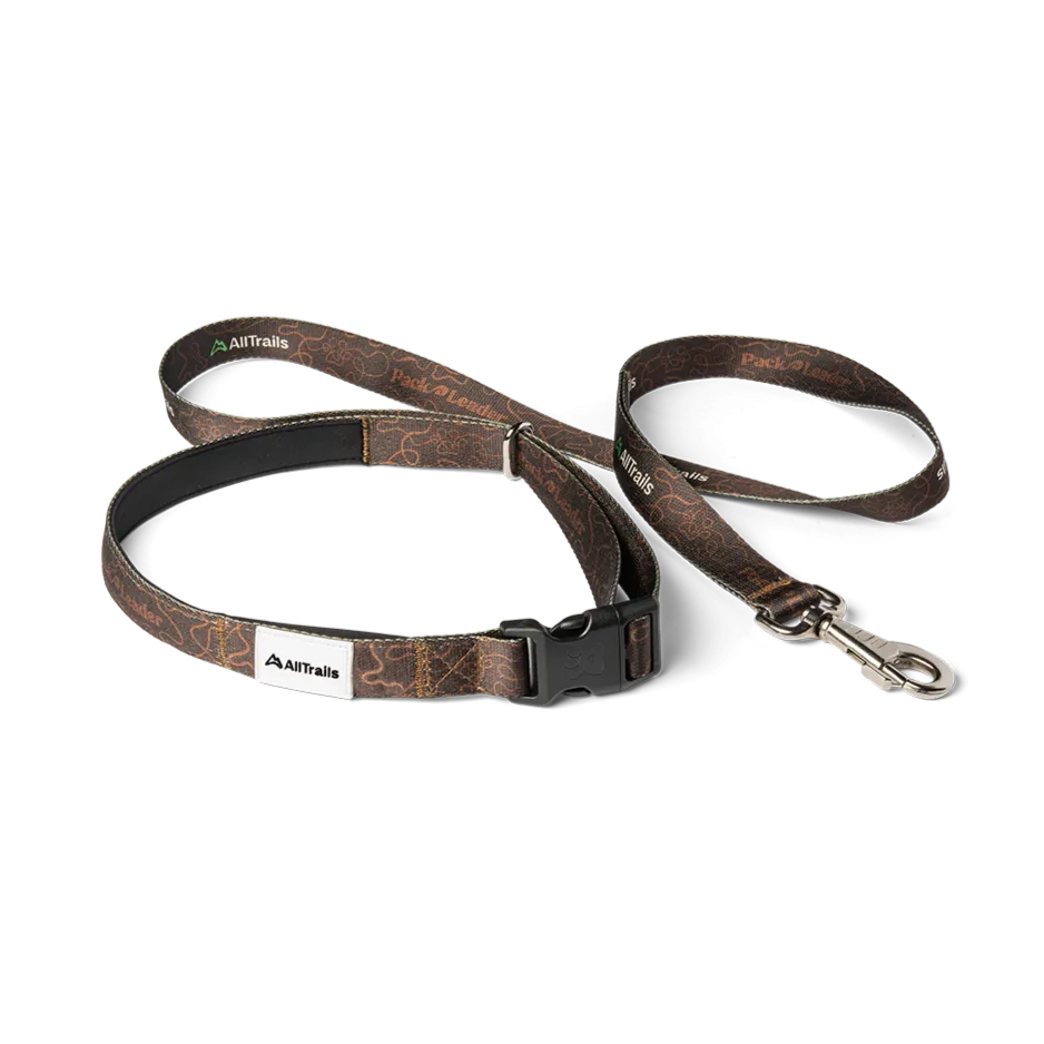 Pack Leader Dog Hiking Leash